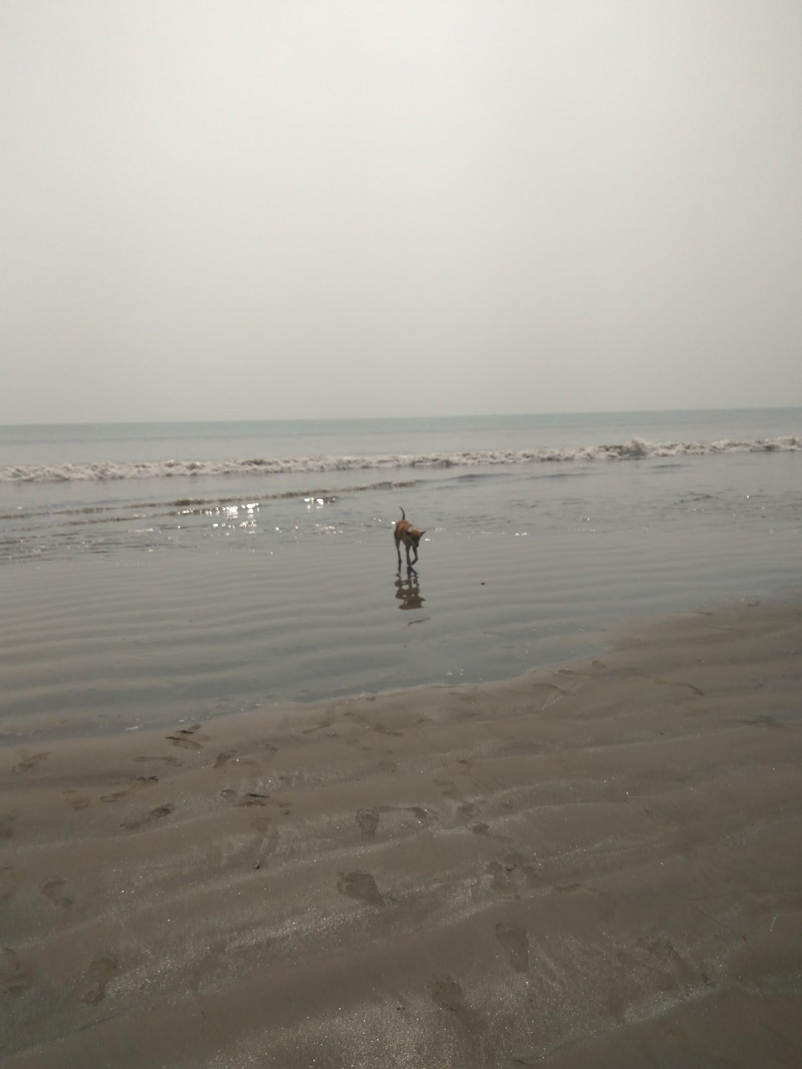 Sandee Chandpur Sea Beach Photo