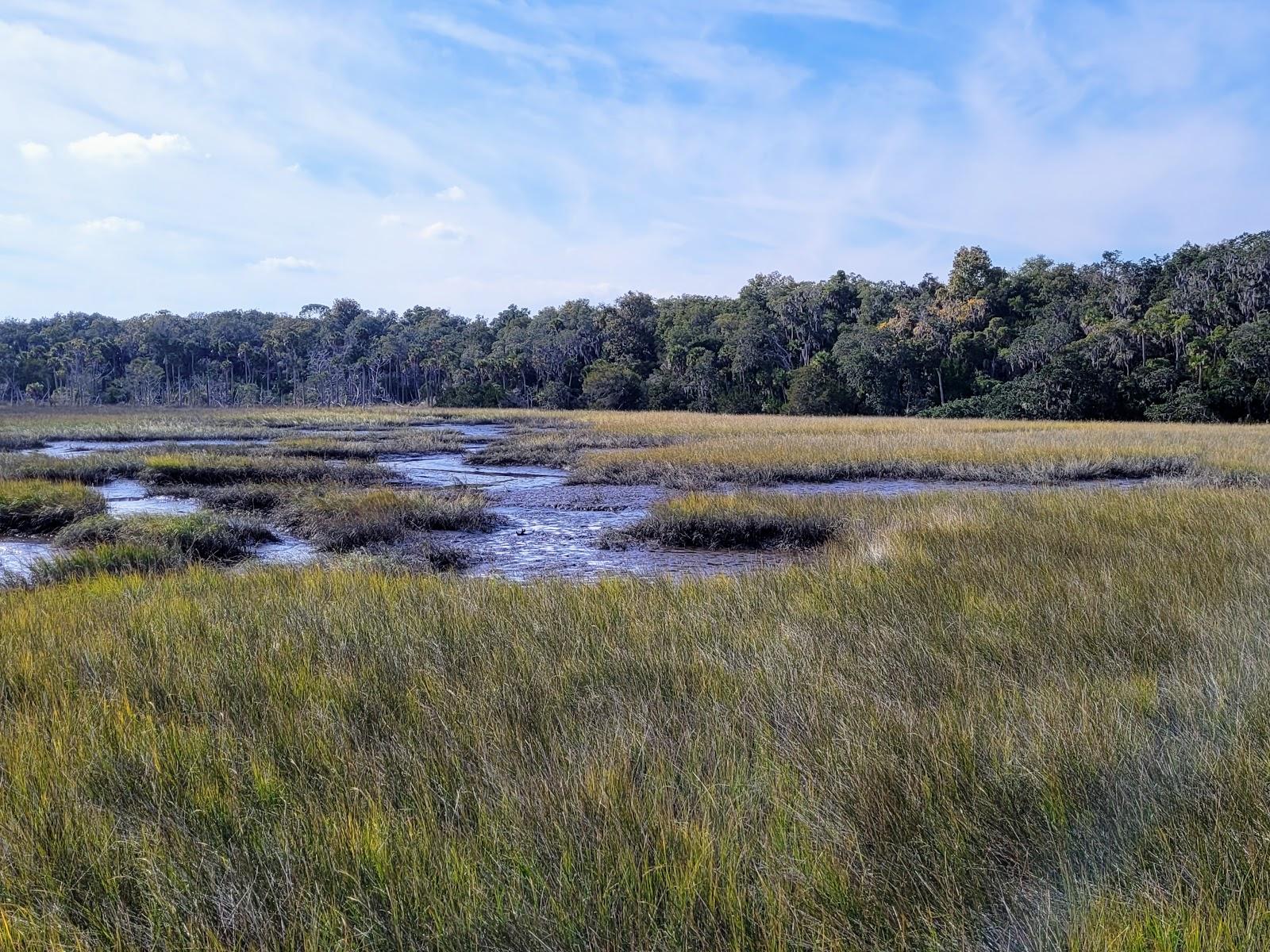 Sandee Timucuan Ecological And Historical Preserve Photo