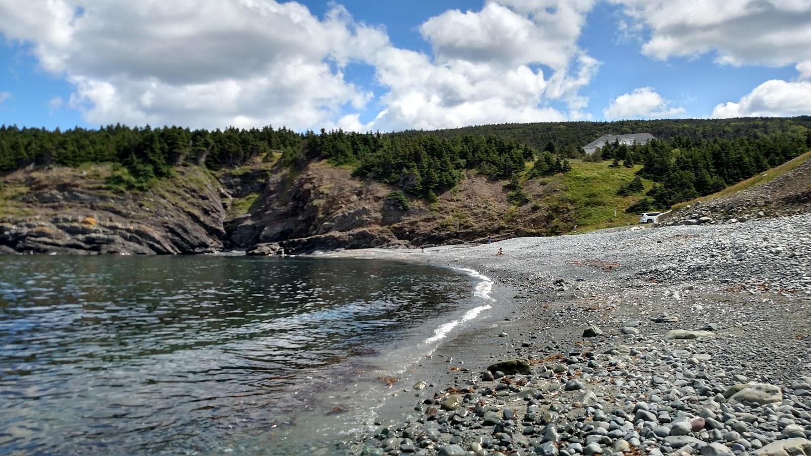 Sandee Logy Bay-Middle Cove-Outer Cove Photo