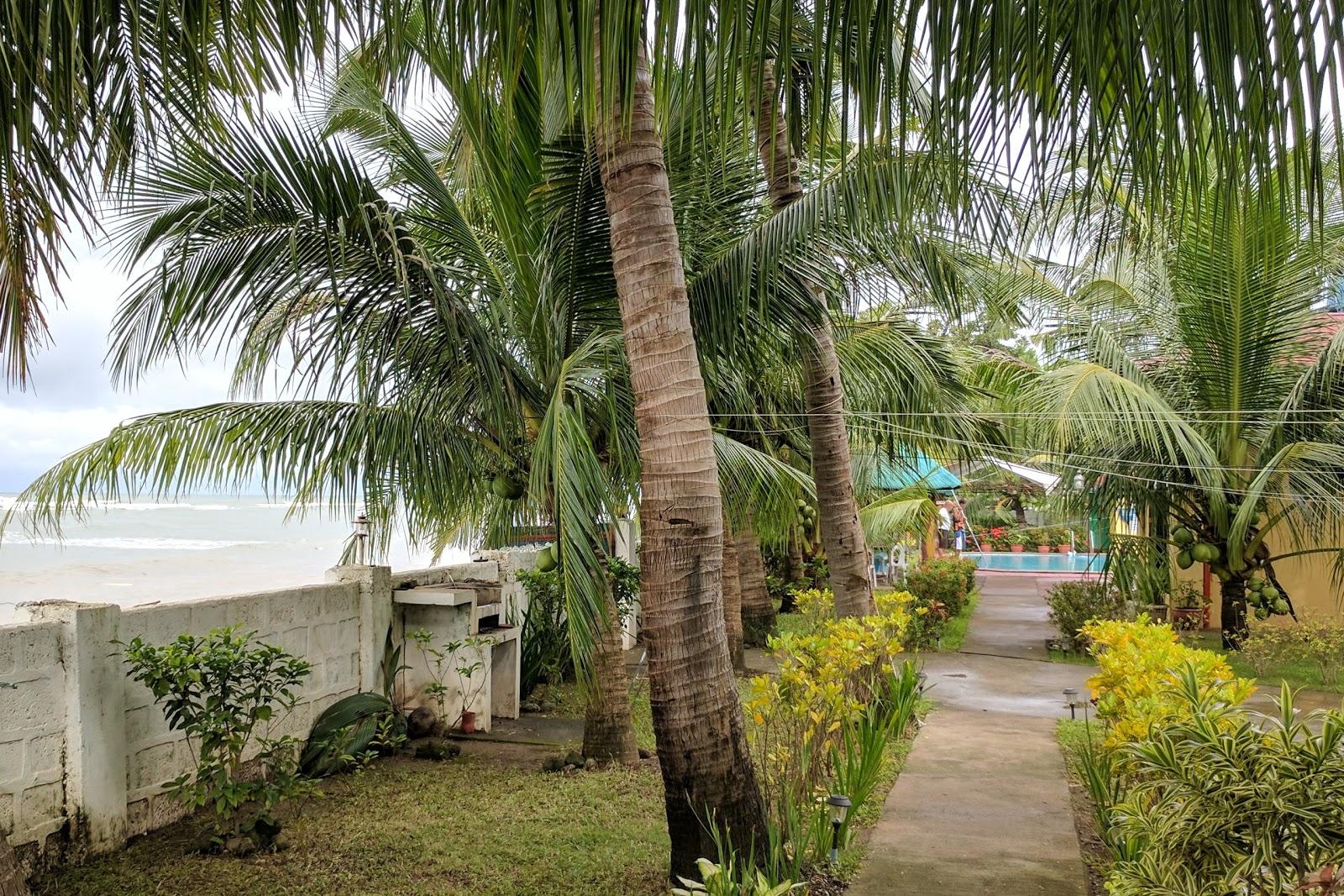 Sandee La Playa Mindoro Resort Photo