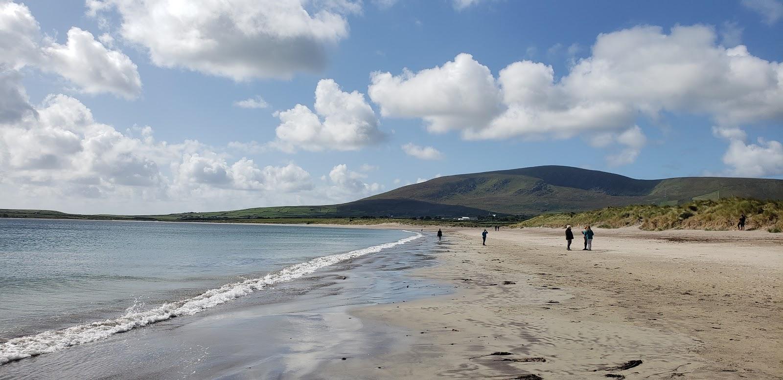 Sandee - Country / Ventry