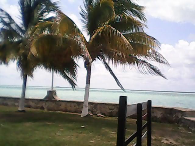 Sandee Maya Beach Corozal Belize Photo