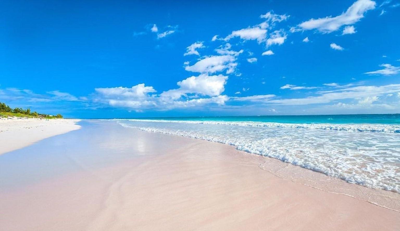 Sandee Pink Sands Beach Photo