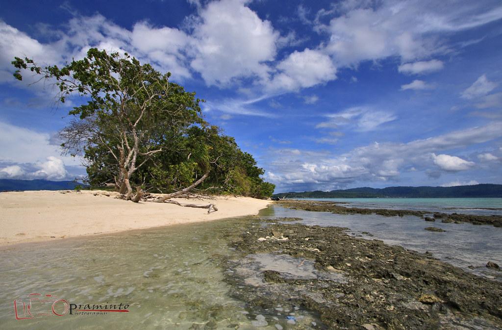 Sandee - Pombo Island