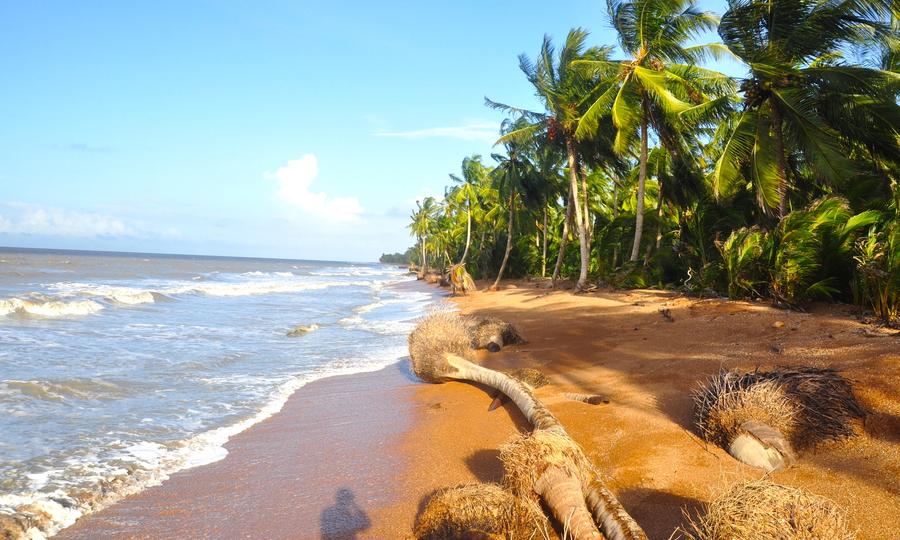 Sandee - Blog / Nudism Laws in Guyana: A Comprehensive Overview