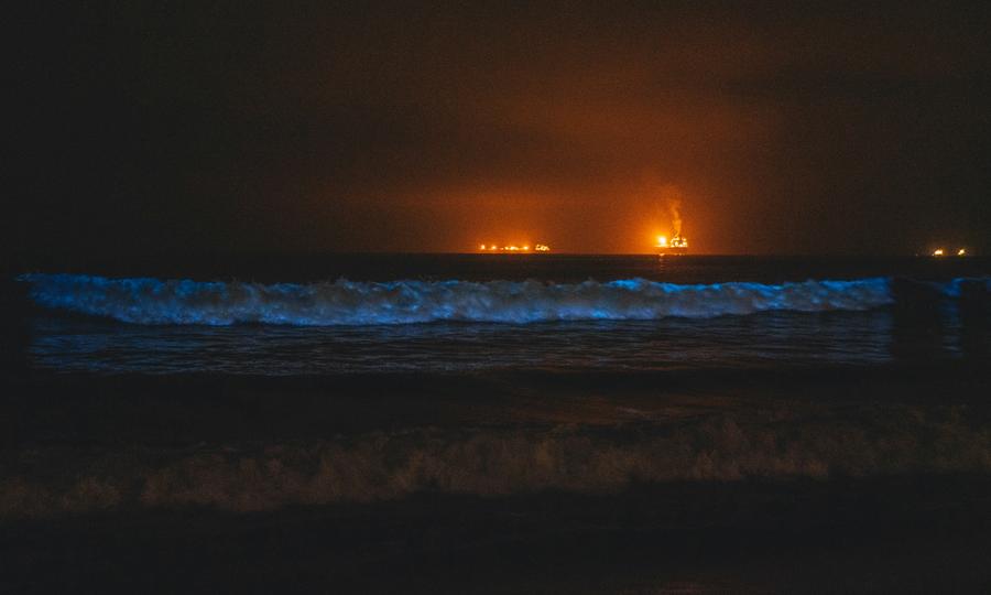 California Bioluminescent and Glowing Waves of 2024