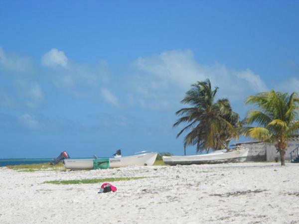 Beach Image 