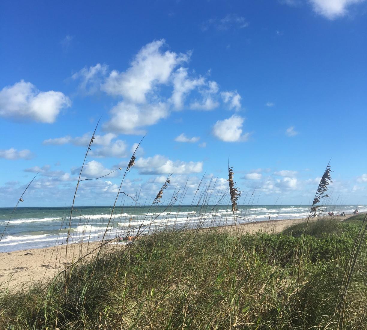 Jensen Beach Hutchinson Island South Florida Jensen Beach Hutchinson Island South Florida