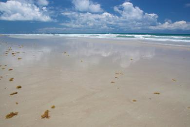 Sandee - Playalinda Beach