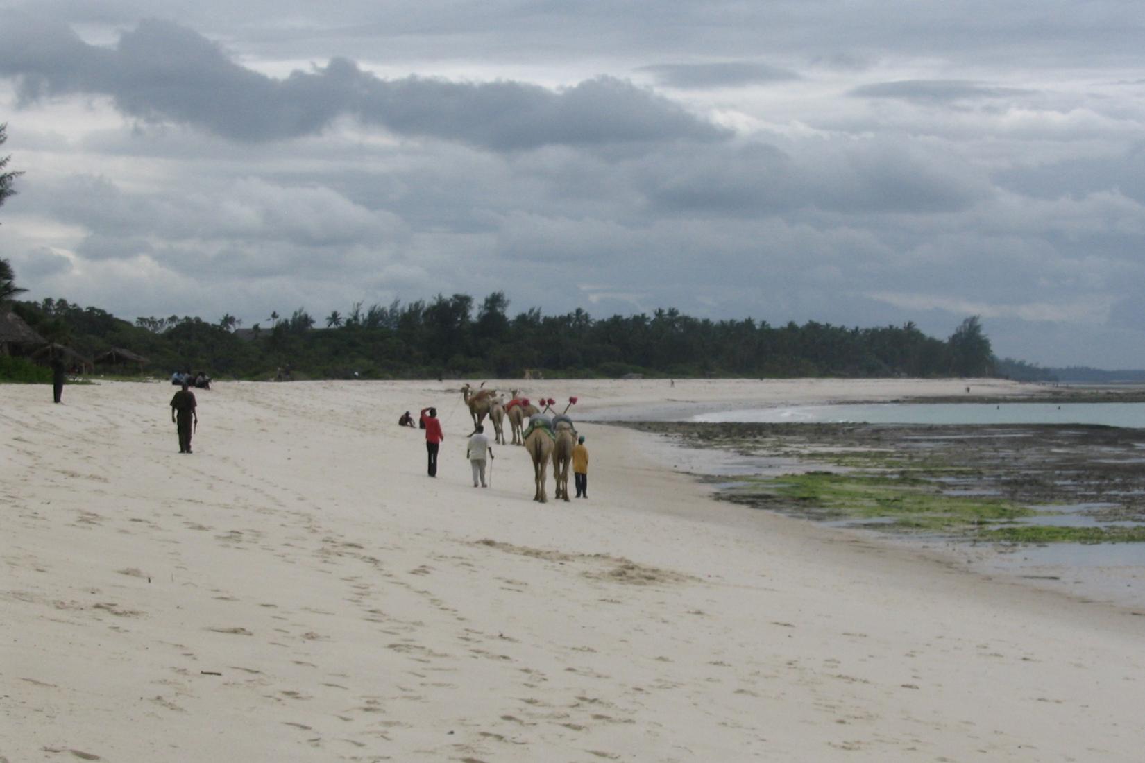 Sandee - Diani Beach