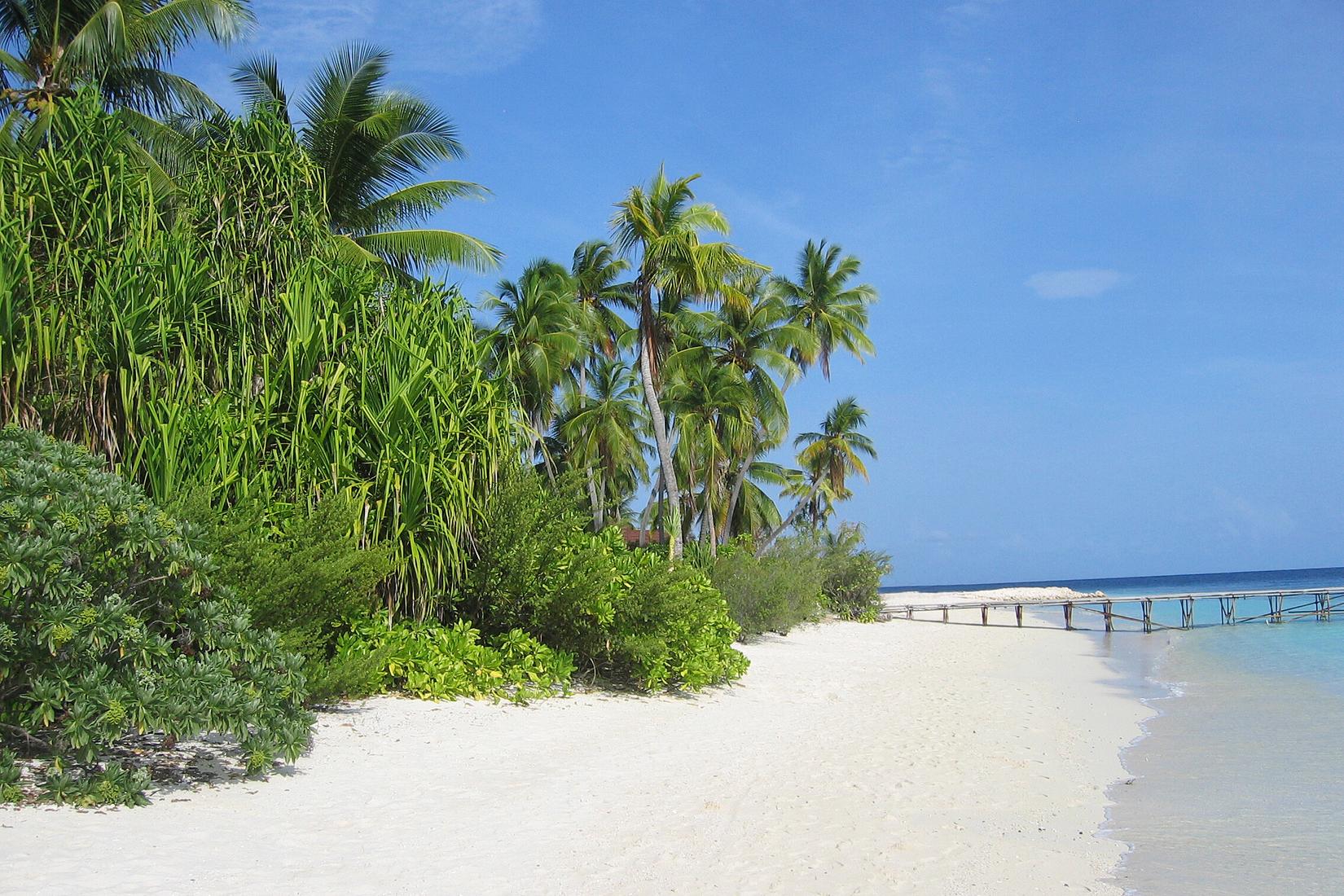 Sandee - Robinson Club Maldives