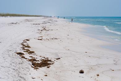 Sandee Pensacola Beach Photo