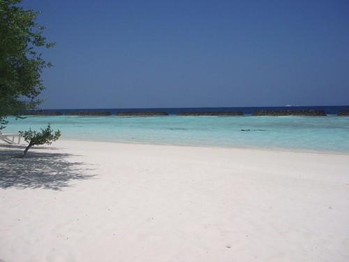 Sandee - Kurumba Beach