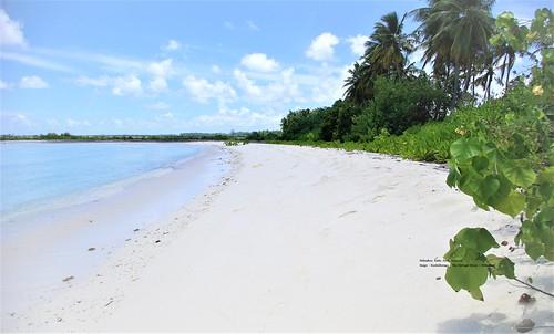 Sandee - Kanbihaa Beach