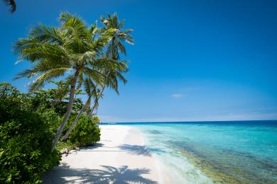 Sandee Park Hyatt Maldives Hadahaa