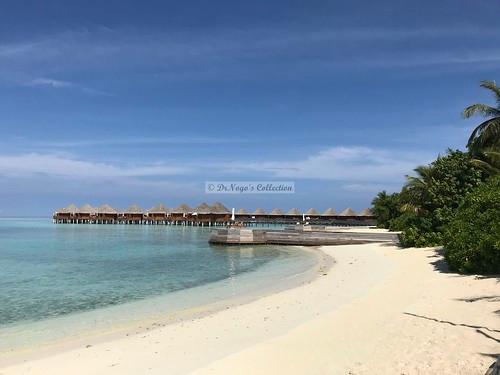 Sandee - Baros Maldives Beach